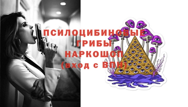 спиды Алексин