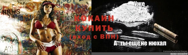 спиды Алексин