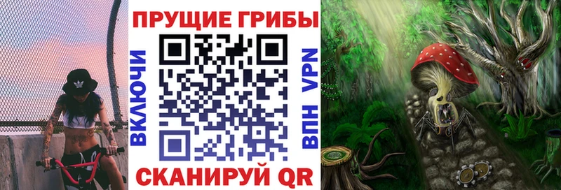 Галлюциногенные грибы Psilocybe  Уяр 
