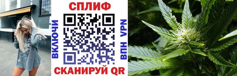 купить  цена  Уяр  Бошки марихуана сатива 